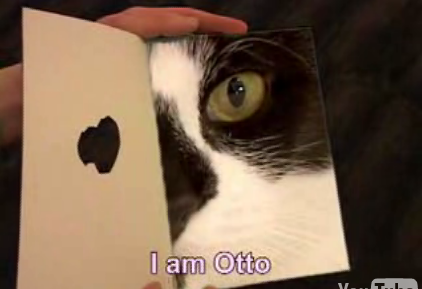Otto the Cat Is Looking For Love in All the Wrong Places